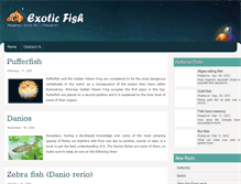 Tablet Screenshot of exoticfishaquarium.com